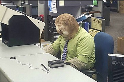 網友在萬聖節當天到車輛管理局辦事，發現櫃檯坐的是「牠」