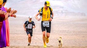 這隻流浪狗「闖入馬拉松比賽」，跟著跑完250公里賽程，還贏得了一名新主人