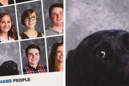 翻開學校畢業紀念冊竟然「有一隻狗狗在裡面」！沒想到背後的真相讓人噴淚...