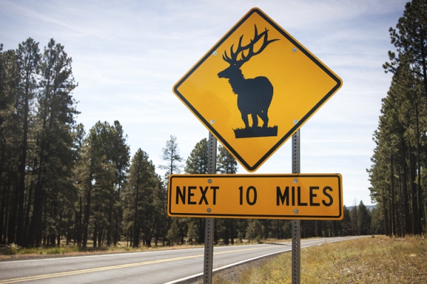 deer_crossing_sign