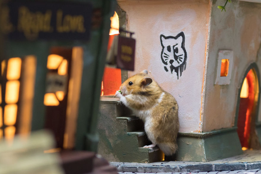 Crafted-miniature-town-for-HUNGRY-HUNGRY-HAMSTERS-online-series-5935d4fee0a68__880