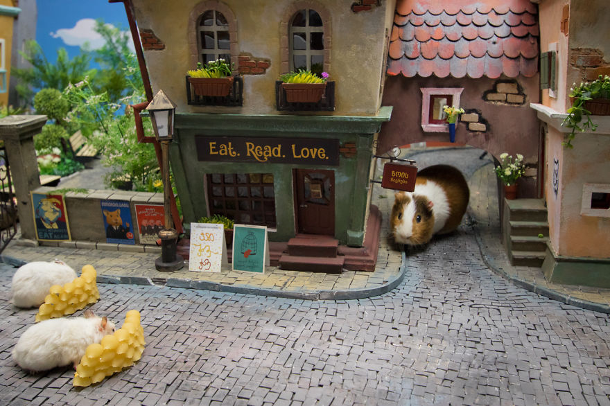 Crafted-miniature-town-for-HUNGRY-HUNGRY-HAMSTERS-online-series-5935d52dc52bc__880