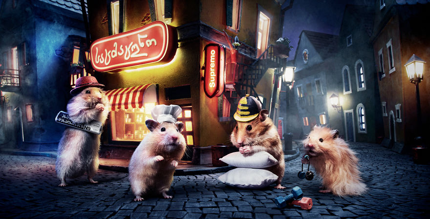 Crafted-miniature-town-for-online-series-HUNGRY-HUNGRY-HAMSTERS-5936987e82642__880