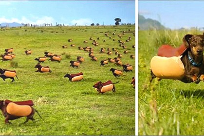 你看過 100 份熱狗麵包飛奔過草原的奇景嗎？《漢斯》蕃茄醬請你嚐嚐萌爆表的滋味～