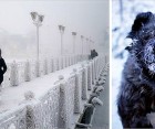 攝影師拍攝酷寒22張「地球最冷村莊」照片，揭開「零下71.2度」生活實錄