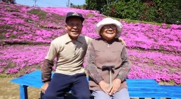 為了讓失明老婆能聞到花香，老公花2年時間種出1000朵鮮花