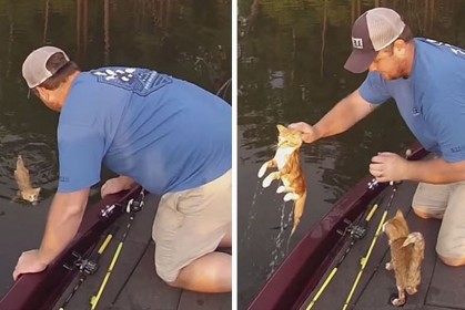 兩名男生去釣魚，竟然釣到兩隻貓咪！精采短片網友看完直笑，是貓釣到這兩人啦～
