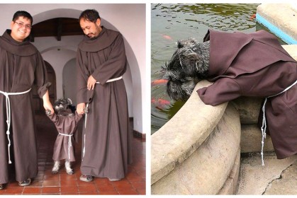 這家修道院收養了一隻流浪狗，沒想到穿上僧袍，牠竟善盡職責成了「一隻修行狗」！