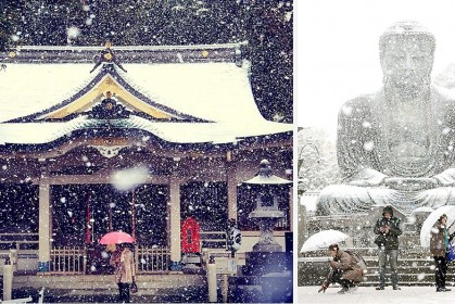 【 50 年來沒見過 11 月雪的東京人，一早醒來居然發現置身《銀色仙境》！】