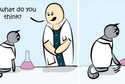 這組《科學猫在工作》的漫畫引起網友狂讚！你家喵星人真的是這樣子的嗎？