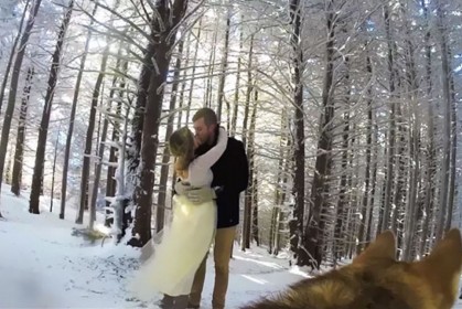 這對夫婦讓狗狗擔任他們的婚禮攝影師，結果拍出來的影片居然這麼棒呀！