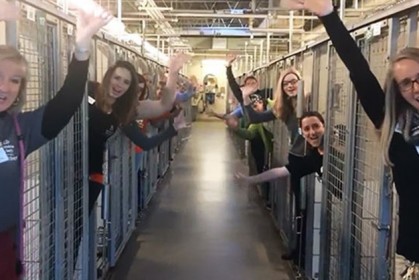 「動物收容所員工」慶祝他們最快樂的一天，因為「所有的狗籠全部清空了」