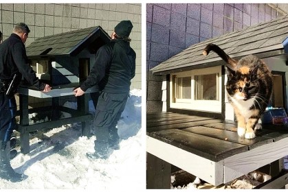 這隻貓咪不斷跑到警察局，警察叔叔們決定為牠打造一座「超級豪華別墅」