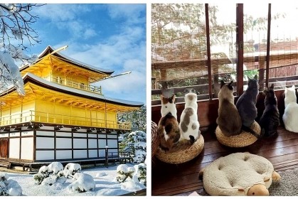 大雪將日本古城《京都變成冬季仙境》！「白雪覆蓋萬物」猶如一座夢幻天堂～