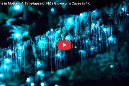 紐西蘭美到不可置信「螢火蟲洞」攝影，有如置身一片發光的仙境