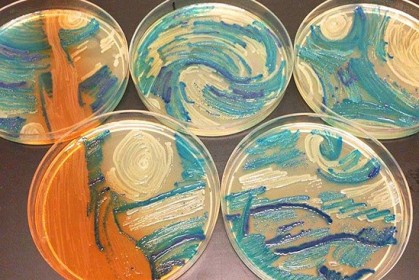 13張「用細菌作畫」的作品，微生物學家培養出梵谷巨作《星夜》和其他曠世名作