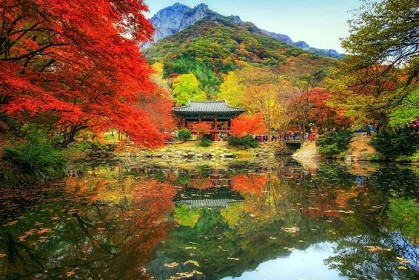 18 張驚人的南韓風景照片，超級豔麗的秋景倒影，讓你好想身臨其境！