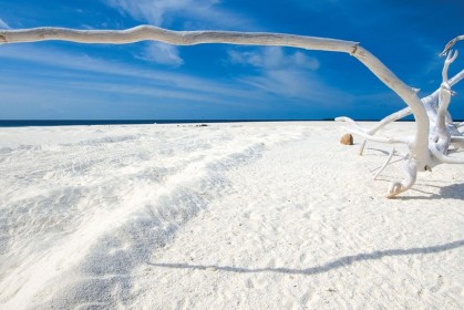 全球最迷人的6種沙灘，帶你體驗不一樣的足下風情！