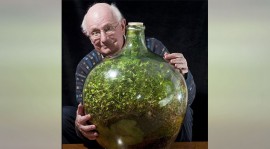 61歲高齡「瓶中花園」已經40年沒澆過水，但現今還繼續在長大