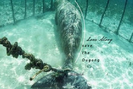 Save the Dugong：世間上竟有人將大海化為牢籠，束縛這海洋生物的自由