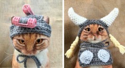 30張為貓咪手創的「時尚貓帽」，第6張模仿世界名畫「戴珍珠耳環的少女」造型吸住眼球