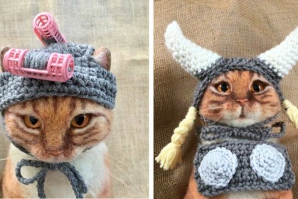 30張為貓咪手創的「時尚貓帽」，第6張模仿世界名畫「戴珍珠耳環的少女」造型吸住眼球