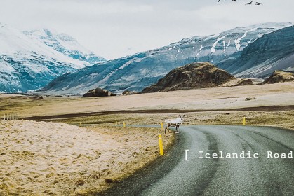 16 個月的冰島之路：攝影師 Michalina Okręglicka 捕捉下冰島公路美景