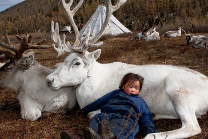 Dukha：希望永遠都不會消失的內蒙古馴鹿民族