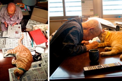 94歲爺爺生病後憂鬱消沉，沒想到一隻害羞怕生的貓咪讓爺爺的心開始融化了...