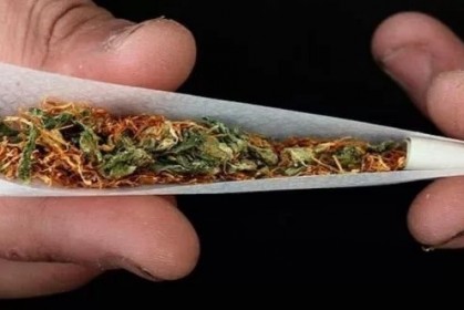 美國政府正式承認「大麻可以殺死癌細胞」，並在官網建議大家如何「呼麻」！